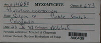 Image Associated With the Occurence